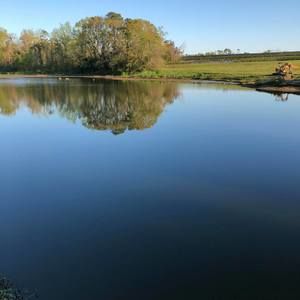 Meet your Posher, Vera